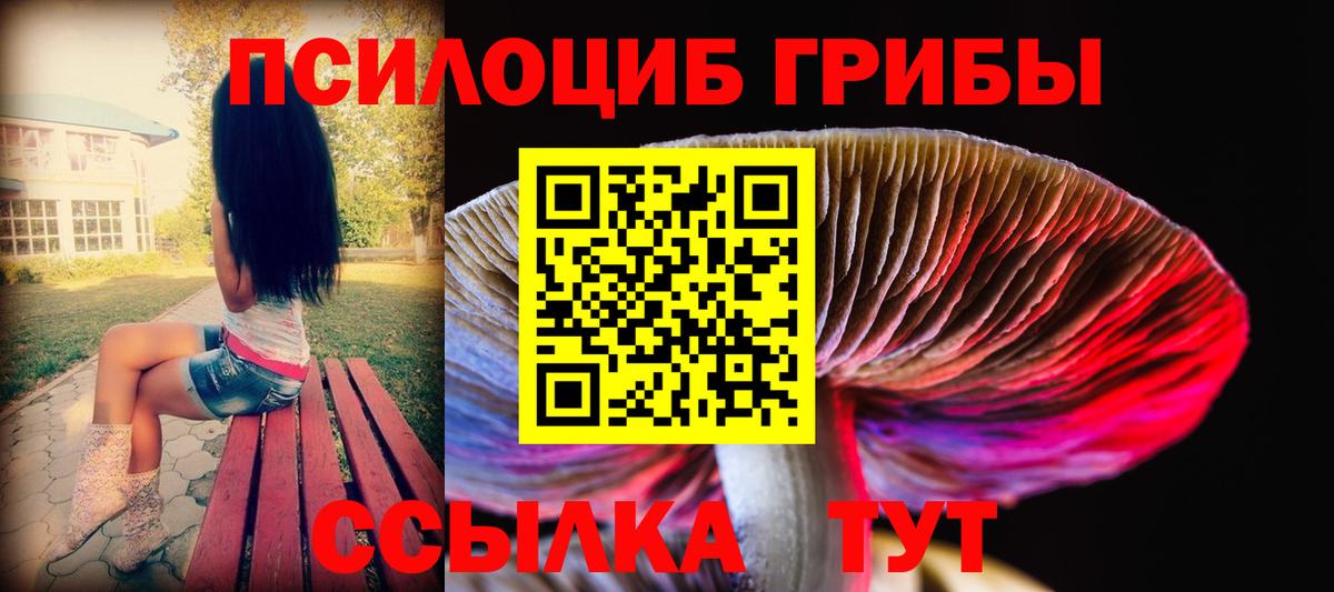 Псилоцибиновые грибы мухоморы Изобильный